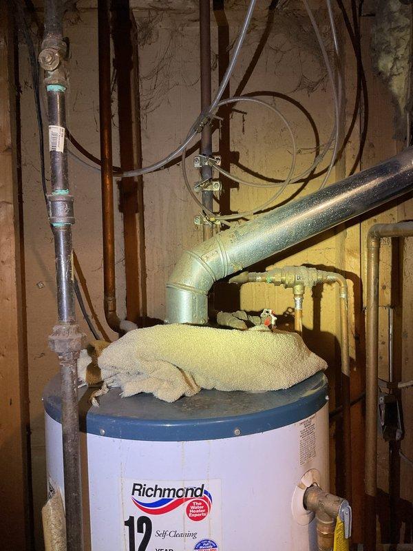 Responded to service call for leaking water heater in residential basement. Upon arrival, contacted customer prior to entry due to multiple pets on premises. Customer had limited mobility, so proceeded directly to basement utility area for assessment. Inspected 10+ year old Richmond brand 12-year self-cleaning water heater and identified active leak condition. Given the age of the unit and leak severity, recommended replacement. Documented existing installation with photographs showing plumbing connections, venting configuration, and surrounding utility infrastructure including copper supply lines, galvanized vent piping, pressure relief valve, and electrical conduit. Unit showed signs of age-related deterioration consistent with expected lifespan. Provided customer with replacement options and recommendations for new water heater installation.