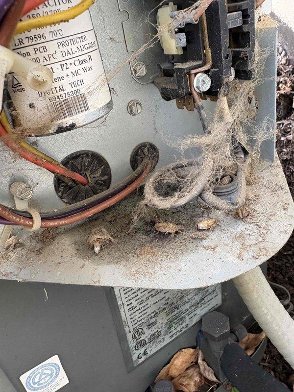 Completed annual cooling maintenance on 19-year-old Goodman air conditioning system. Performed comprehensive inspection revealing dual-rated capacitor (35/5µF) showing signs of age with surface oxidation and weather exposure, though still within operational parameters. Electrical connections at contactor assembly examined and found secure despite visible environmental wear. Cleaned extensive cobweb accumulation and debris from control panel area, electrical connections, and equipment base to prevent potential airflow restriction and ensure proper heat dissipation from electrical components. Verified all wire terminations at terminal blocks and contactor remain tight and functional. System tested and confirmed operational for continued service.