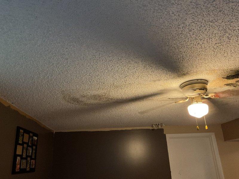 Completed paid plumbing inspection to investigate reported ceiling leak suspected to originate from copper piping. Documented extensive water damage and staining on interior ceiling with discoloration patterns indicating active or recent moisture intrusion. Inspected bathroom fixtures including jetted tub showing water staining and discoloration on surfaces, suggesting potential leak source in proximity to damaged ceiling area below.