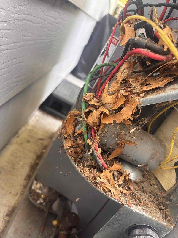 # AC Annual Cooling Maintenance - 26-Year-Old Heil System

Completed annual cooling maintenance on a 26-year-old Heil air conditioning system. Upon inspection, discovered severe corrosion and rust throughout the electrical housing and contactor assembly, indicating long-term moisture exposure and environmental deterioration. The metal casing showed extensive pitting and orange-brown discoloration with significant rust accumulation around wire connection points. Electrical components including the contactor displayed worn wire insulation on red, yellow, black, and green conductors. Debris and organic material had accumulated around electrical connections within the corroded housing.

Documented the advanced deterioration of the compressor unit and electrical components through photographs. The system's age and extensive corrosion present significant reliability and safety concerns. Strongly recommend replacement of the outdoor unit due to the compromised structural integrity of the elec