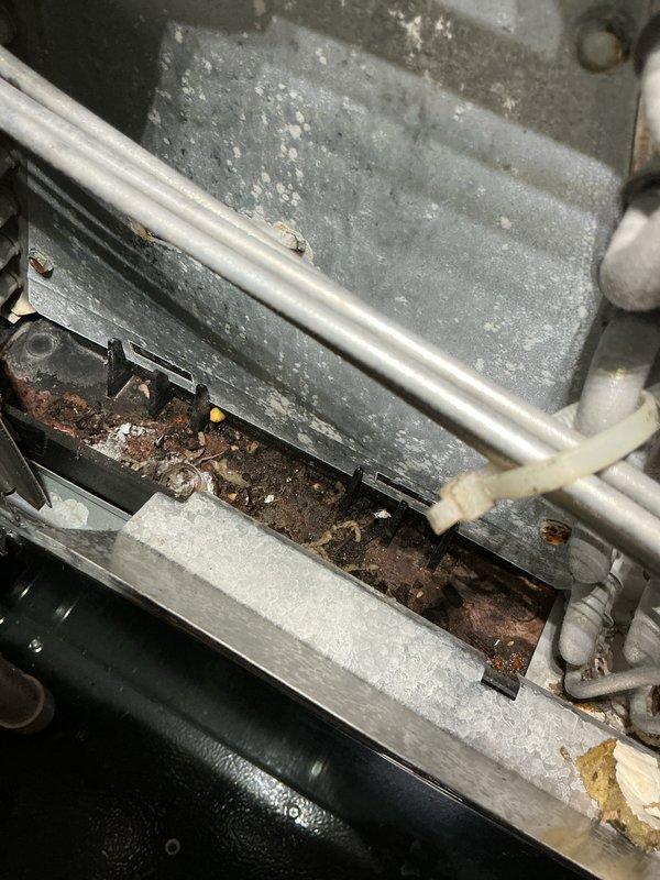 # AC Annual Cooling Maintenance Visit

Performed comprehensive annual cooling maintenance on a 7-year-old air conditioning system. Conducted thorough inspection of all interior components, revealing significant rust accumulation and corrosion on horizontal metal surfaces within the unit, along with mineral deposits and environmental debris indicating extended service exposure. Documented drainage system configuration including PVC condensate line routing through basement utility area. Verified condensate drain functionality and placement of overflow protection devices. Completed full system evaluation with photographic documentation of equipment condition for maintenance records.