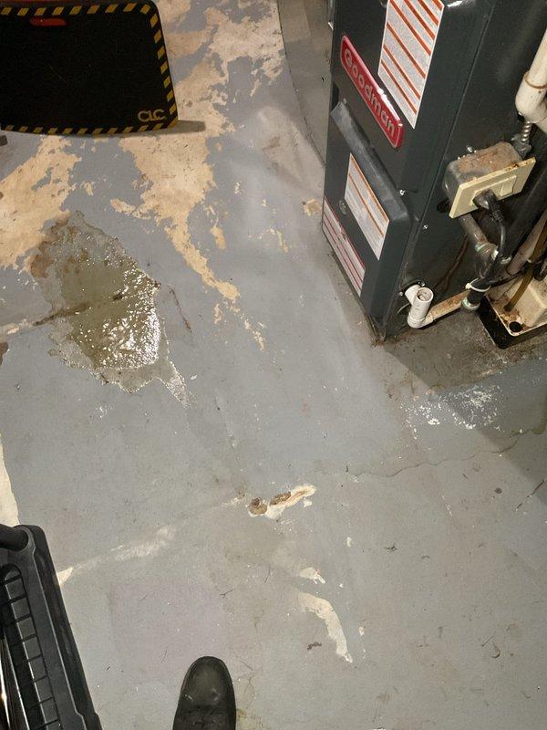Completed annual cooling maintenance on 30-year-old Carrier system. Inspected basement mechanical area and documented condition of HVAC infrastructure including exposed piping with foam insulation running through wooden framing members. Observed significant water accumulation and pooling on basement floor near heating equipment, with brownish-yellow staining indicating ongoing moisture infiltration issues that could affect system performance and longevity. Photographed water damage patterns and standing water conditions for record. System operational at time of visit.
