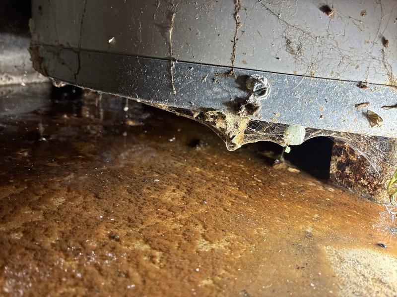 Responded to no hot water complaint on a 30-year-old Bradford White 48-gallon LP gas water heater (Model MITW5016CX15). Upon inspection, unit showed extensive age-related deterioration including severe corrosion at the base, rust staining on surrounding floor surfaces, and significant structural wear. Tank exhibited moisture damage and oxidation at bottom connections, with visible debris accumulation. Given the unit's age of approximately three decades—well beyond typical service life expectancy of 8-12 years—and the advanced state of deterioration observed, replacement was necessary to restore hot water service and prevent potential failure or safety hazards.