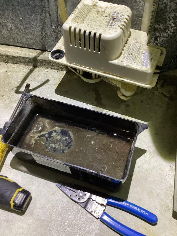Completed annual cooling maintenance on Wolf AC system. Inspected air handler unit, replaced air filter, and checked condensate drainage system. Found standing water with sediment in drain pan indicating slow drainage; cleaned condensate pump and verified proper operation to prevent future overflow issues.