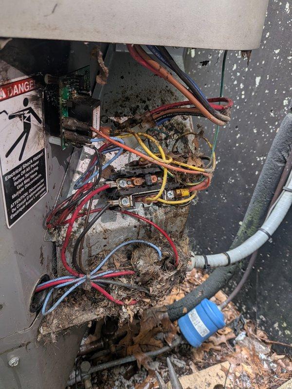 Completed annual cooling maintenance on 20-year-old International Comfort Products air conditioning system. Upon inspection, discovered significant debris accumulation and corrosion throughout electrical compartment, including heavy buildup of dirt, dust, and organic matter around wire connections and terminal blocks. Thoroughly cleaned all electrical connections, terminal blocks, and circuit board area, removing accumulated debris from condensate drain line and surrounding components. Inspected capacitor, wiring harness, and all electrical connections for integrity; confirmed proper operation of all system components following cleaning and standard tune-up procedures.