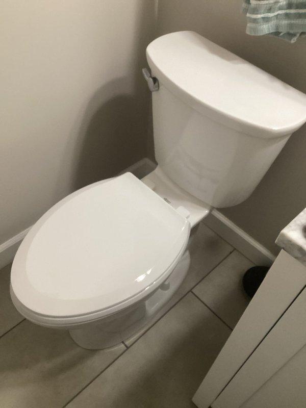 Completed full toilet replacement in residential bathroom. Removed existing toilet, installed new two-piece white porcelain toilet with chrome flush mechanism, connected water supply line, tested for proper operation and leaks, and confirmed all components functioning correctly upon completion.