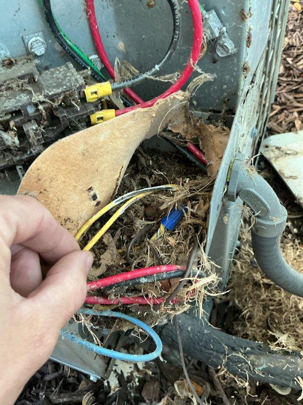 # Annual Cooling Maintenance Completed

Performed comprehensive annual cooling maintenance on 20-year-old ARCO air conditioning system. Conducted thorough inspection of outdoor condensing unit, including electrical connections, capacitor, and internal components. 

Discovered significant debris accumulation throughout electrical junction box and unit interior, including dried grass, leaves, and organic matter that had collected around wire connections and terminal blocks. Cleaned all electrical connection points and removed debris from equipment housing to prevent potential electrical failures and ensure safe operation.

Inspected all electrical wiring and connections, noting presence of multiple colored conductors (red, blue, black, green, yellow) with wire connectors. Evaluated condition of terminal block and connection panel, observing age-related corrosion and weathering on metal surfaces. Checked capacitor mounting and security.

Documented equipment condition with photographic ev