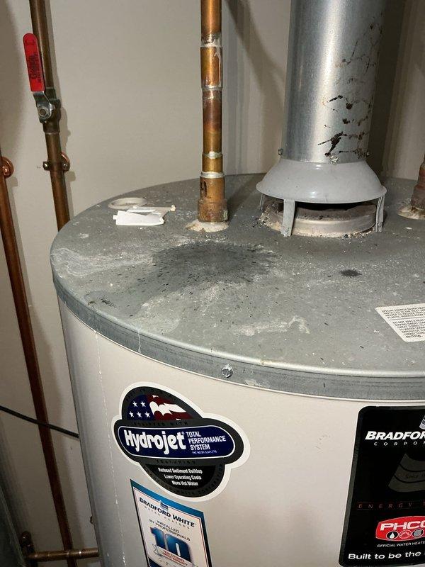 Responded to water leak call for Goodman furnace system. Upon inspection, identified leak source originating from condensate drainage system. Collected water in basin to prevent further damage to surrounding area. Evaluated water heater and associated plumbing connections in utility space, noting copper piping configuration and gas valve positioning. Documented existing conditions of Bradford White water heater installation and connected plumbing infrastructure for reference. Provided membership renewal information as requested.