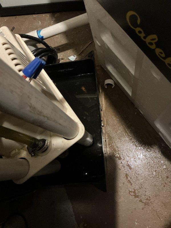 Completed annual heating and cooling maintenance on 5-year-old EnergiAir unit and 8-year-old Trane furnace. Inspected condensate drain system and documented active drainage with visible water staining in drain pan and moisture accumulation in mechanical space beneath equipment. Condensate pump operating and draining properly through connected tubing with secure fittings observed.