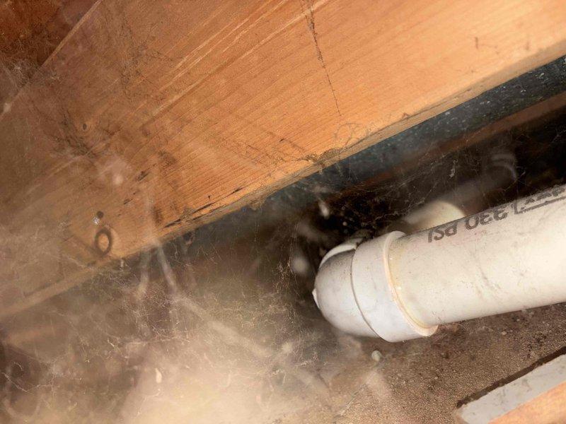 Responded to plumbing leak service call for bathtub issue. Upon inspection, accessed crawl space and identified leaking drain assembly and deteriorated trap connection beneath bathtub. Replaced corroded metal P-trap with new assembly, secured all PVC drain connections, and tested system for proper drainage and seal integrity. All connections verified leak-free and operational.