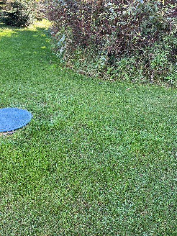 Conducted on-site evaluation of back-pitched plumbing line running from residence to septic tank system. Documented existing conditions through photographic survey of property, including septic system access point location in lawn area and exterior plumbing penetrations at foundation level. Prepared comprehensive project estimate for correction of improper pipe slope to ensure proper drainage flow toward septic tank and prevent future system backup issues.