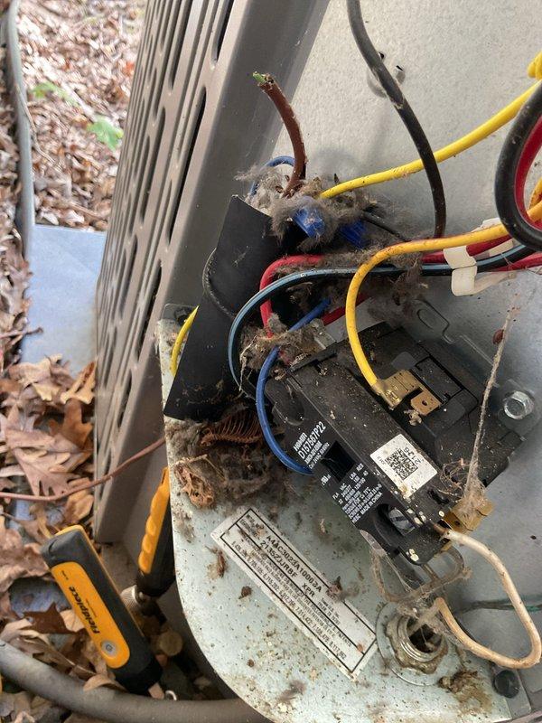 Completed annual cooling maintenance on 4-year-old Trane system with condenser manufactured in 2023. Performed comprehensive tune-up including inspection of outdoor unit electrical connections, capacitor, contactor, and terminal blocks; cleaned debris and accumulated organic material from electrical compartment and surrounding unit area; verified all wire connections secure; inspected indoor air handler components and electrical connections; and documented equipment condition with photos.