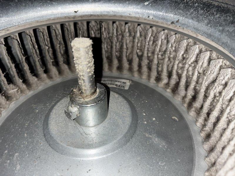Completed annual heating maintenance on furnace system approximately 10 years old. Upon inspection, discovered significant accumulation of lint, dust, and debris throughout blower assembly, including heavy buildup on blower wheel fins and motor shaft. Blower housing interior showed dense matted debris coating all surfaces, indicating extended operation without previous cleaning. Cleaned and serviced blower assembly, removing accumulated debris from wheel fins, motor shaft, and housing interior. Inspected pulley system and belt drive components for wear and proper operation. Performed standard tune-up procedures and system operational testing. Unit restored to proper working condition with improved airflow efficiency.