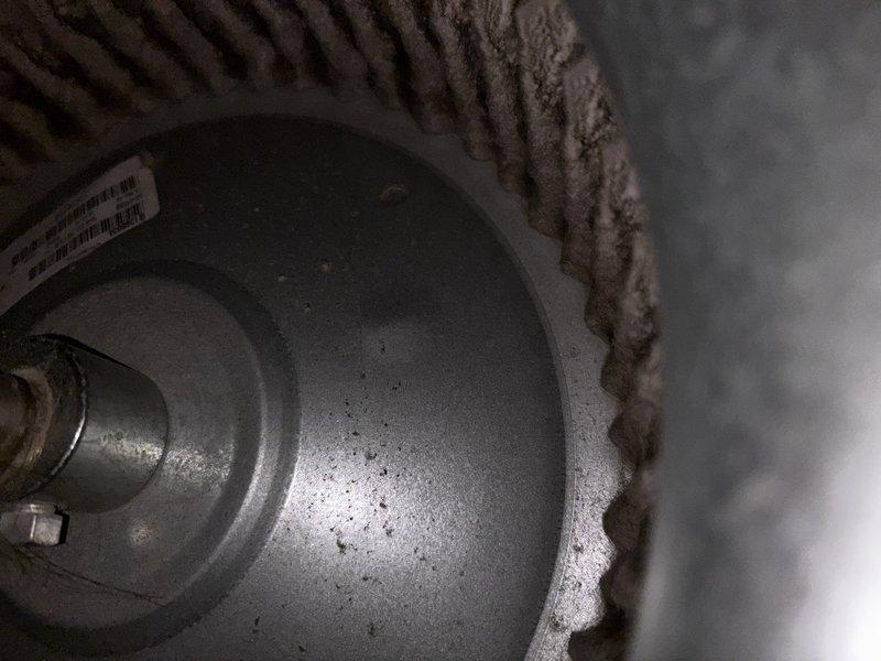 Completed annual heating maintenance on furnace system approximately 10 years old. Upon inspection, discovered significant accumulation of lint, dust, and debris throughout blower assembly, including heavy buildup on blower wheel fins and motor shaft. Blower housing interior showed dense matted debris coating all surfaces, indicating extended operation without previous cleaning. Cleaned and serviced blower assembly, removing accumulated debris from wheel fins, motor shaft, and housing interior. Inspected pulley system and belt drive components for wear and proper operation. Performed standard tune-up procedures and system operational testing. Unit restored to proper working condition with improved airflow efficiency.