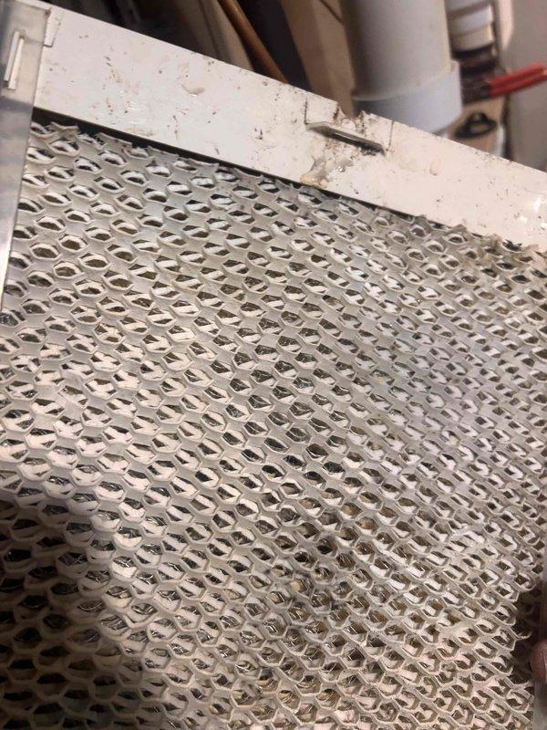 Completed annual heating maintenance on 23-year-old Amana furnace and humidifier system. Performed comprehensive tune-up including inspection of evaporator coil, filter assembly, and all mechanical components. Reviewed smart thermostat functionality and confirmed proper system operation. All equipment found to be functioning within normal parameters for unit age.