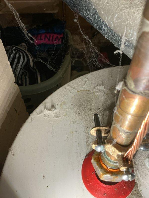 Responded to no hot water complaint on tank-style water heater. Upon arrival, accessed unit through rear entrance as requested. Inspected water heater installation in utility space, noting aged plumbing components with visible corrosion and patina on brass valve assembly and copper piping connections. Documented existing conditions including tarnished brass fittings, soldered copper joints, and overall system age indicators. Assessed valve operation, supply connections, and distribution piping in confined mechanical space. Customer is active plan member and was prioritized for service response.