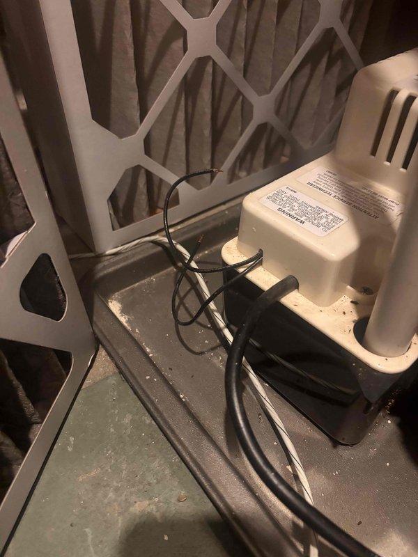 Completed annual heating maintenance on 23-year-old Bryant furnace and humidifier system. Performed comprehensive tune-up including inspection of all major components, verified proper operation of condensate pump with drainage system, confirmed air filter condition and airflow, tested safety controls and electrical connections, and documented equipment condition through photographic records. System operating within normal parameters upon completion.