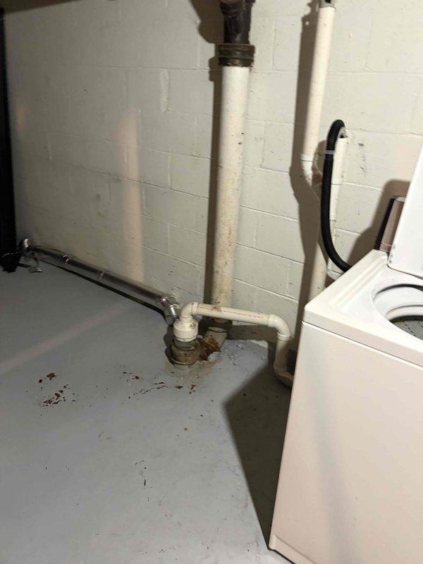 Responded to clogged drain complaint with water backing up in basement laundry area. Upon inspection, found washing machine drain system experiencing backup through floor drain. Cleared obstruction from main drain line, restoring proper flow and drainage function. Tested system to verify water draining correctly from both washing machine discharge and floor drain. Customer advised of membership program benefits for future plumbing maintenance needs.
