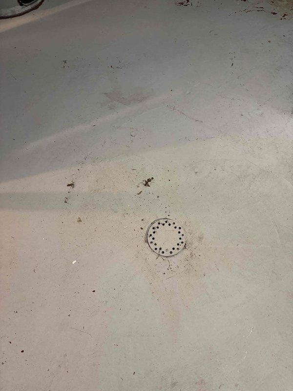 Responded to clogged drain complaint with water backing up in basement laundry area. Upon inspection, found washing machine drain system experiencing backup through floor drain. Cleared obstruction from main drain line, restoring proper flow and drainage function. Tested system to verify water draining correctly from both washing machine discharge and floor drain. Customer advised of membership program benefits for future plumbing maintenance needs.