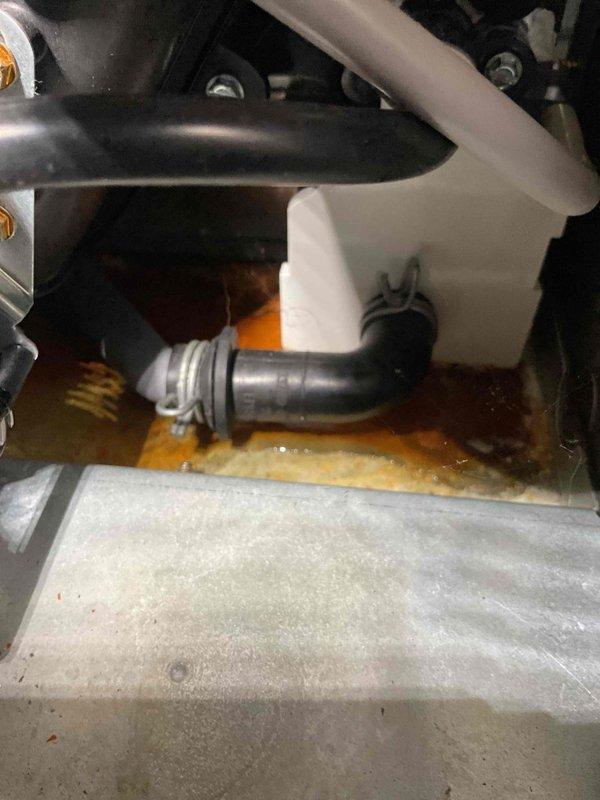 Completed annual heating maintenance on Bryant furnace system. During inspection, discovered significant rust and corrosion with orange-brown liquid accumulation in the condensate drain system and interior compartment, indicating drainage issues or condensation backup. Documented mechanical components, condensate reservoir, and affected areas with photos for customer records.