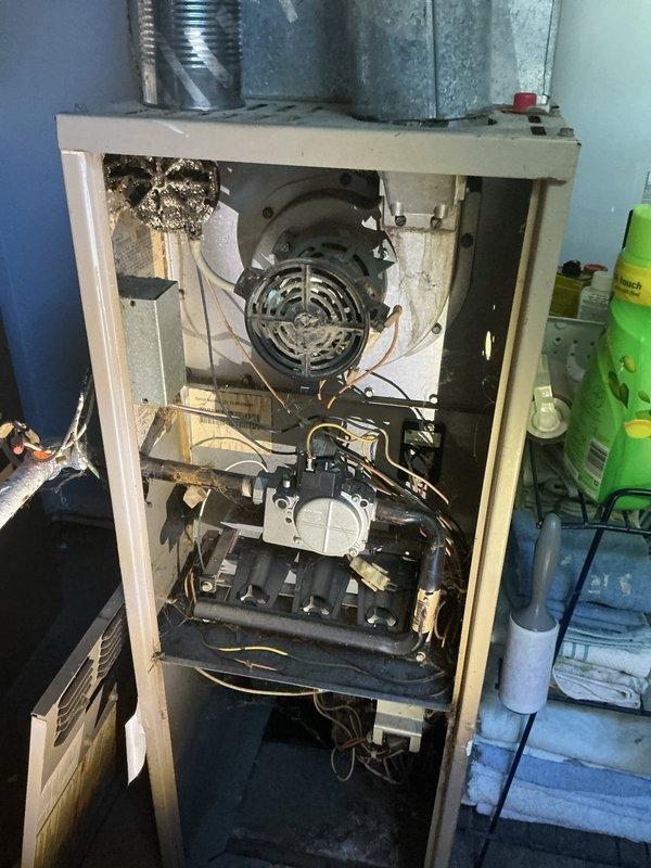 Completed furnace replacement estimate for approximately 1200 square foot residence with 60-year-old unit experiencing blower motor failure and wall pin deterioration. Photographed existing HVAC system showing internal components including failed blower assembly, gas burner system, electrical controls, and overall cabinet condition to document equipment age and failure points. Provided estimate information within expedited timeline to meet DHS requirements for heating system replacement approval.
