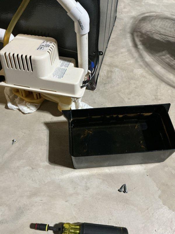 Completed annual heating maintenance on 4-year-old Amana furnace system. Performed comprehensive tune-up including inspection of ductwork, condensate pump operation, and drain pan condition. System operating properly with no humidifier present; documented equipment condition with photos for service records.