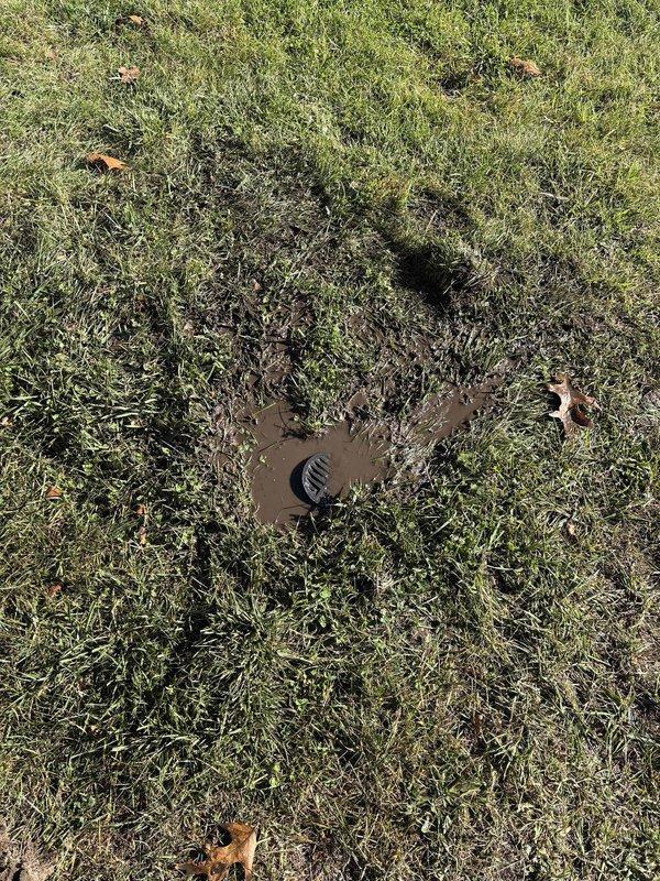 Performed comprehensive sewer line jetting and camera inspection services at residential property. High-pressure water jetting equipment was deployed to clear blockages and buildup from the underground drainage system, followed by detailed video camera inspection to assess line condition and verify successful cleaning. Documentation captured includes ground-level cleanout access point and diagnostic equipment setup during the 4-5 hour service operation.