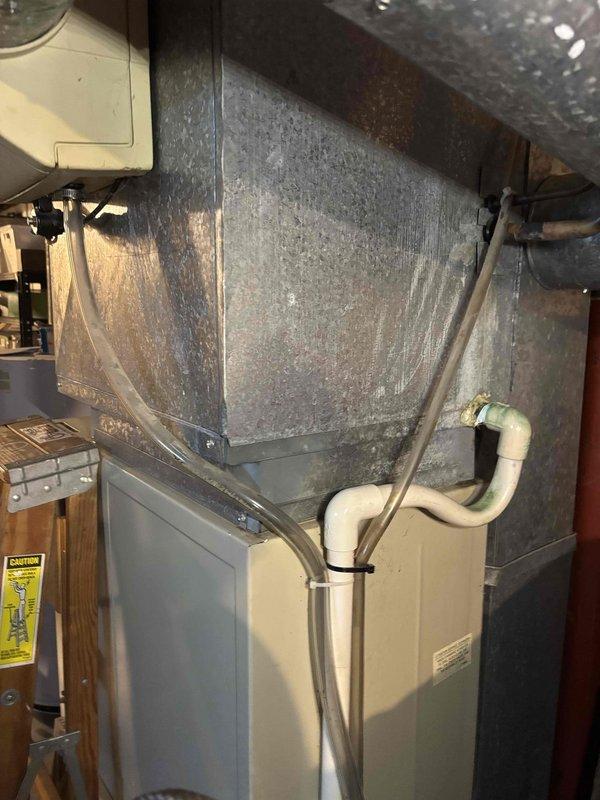 Responded to service call for leaking tank water heater approximately 15 years old. Upon arrival, conducted visual inspection of unit and surrounding area. Documented existing conditions with photographs showing water heater installation, connected copper supply lines with brass fittings, and overall utility room setup. Assessed age and condition of water heater, noting unit had reached end of typical service life expectancy. Identified source of water leak and evaluated extent of damage to surrounding area. Reviewed findings with customer and discussed replacement options given age of equipment. Customer opted to proceed with scheduling through regular dispatch rather than emergency service. Membership benefits applied to service call.