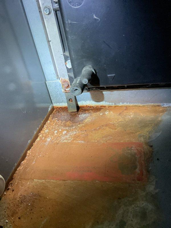 Performed a full furnace tune-up on a 21-year-old Bryant unit, inspecting the blower assembly, cabinet interior, and wiring. Found significant rust and corrosion with standing moisture in the lower cabinet pan, along with water staining near the blower housing and frayed duct insulation, indicating a moisture source that should be traced (condensate drain, coil, or humidifier) and the corroded components monitored for failure.