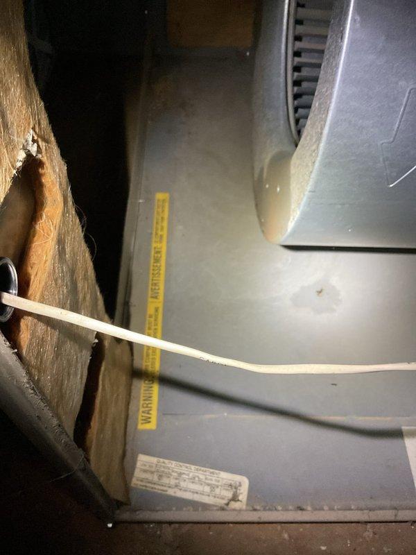 Performed a full furnace tune-up on a 21-year-old Bryant unit, inspecting the blower assembly, cabinet interior, and wiring. Found significant rust and corrosion with standing moisture in the lower cabinet pan, along with water staining near the blower housing and frayed duct insulation, indicating a moisture source that should be traced (condensate drain, coil, or humidifier) and the corroded components monitored for failure.