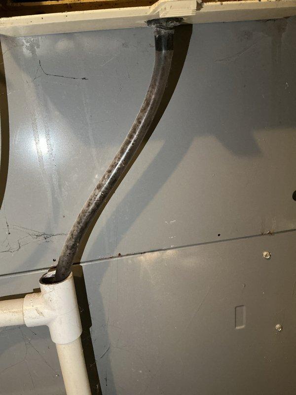 Performed a Furnace Super Tune-up on an 18-year-old furnace, inspecting and servicing the condensate drain system, including the Sauermann SI-1801 condensate pump, PVC drain piping, and flexible drain tubing. Noted heavy discoloration and microbial-type buildup on the flexible drain hose and debris and residue in the pump reservoir tray, with no visible cracks, rust, or leaks at the pump or PVC connections. Verified secure hose clamp and fittings, with the condensate drain system operational at completion.