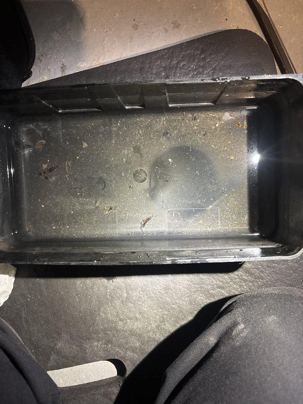 Performed annual furnace tune-up, including inspection and cleaning of the furnace and the whole-house humidifier. Removed the humidifier cover and drained the water pan, which contained stagnant water and sediment buildup, then cleaned the pan and components to restore proper drainage and operation. Verified the system was operating correctly at completion.