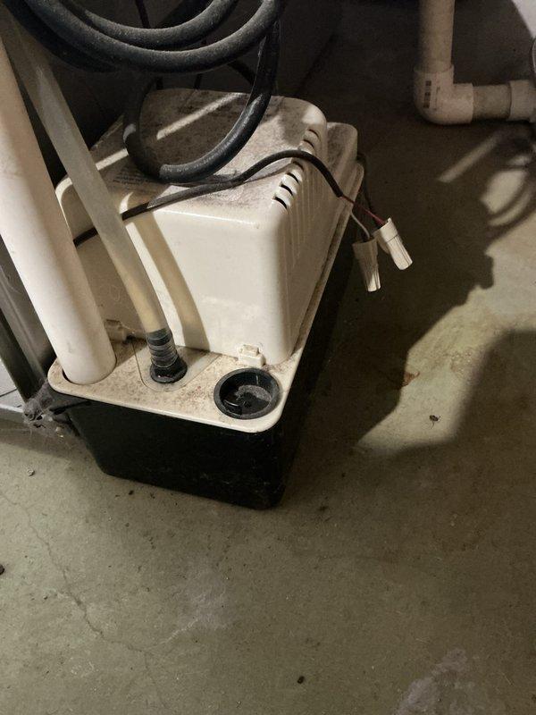 Performed annual heating inspection on a 10-year-old Carrier system, including a full operational check and evaluation of the filtration system. Inspected the air filter, which showed only light discoloration with no significant debris buildup, tearing, or damage, and confirmed it was properly seated. Noted the condensate pump is dusty with visible grime and has loose wiring terminals hanging at the cable end, recommending cleaning and electrical connection inspection; no humidifier is installed on the system.