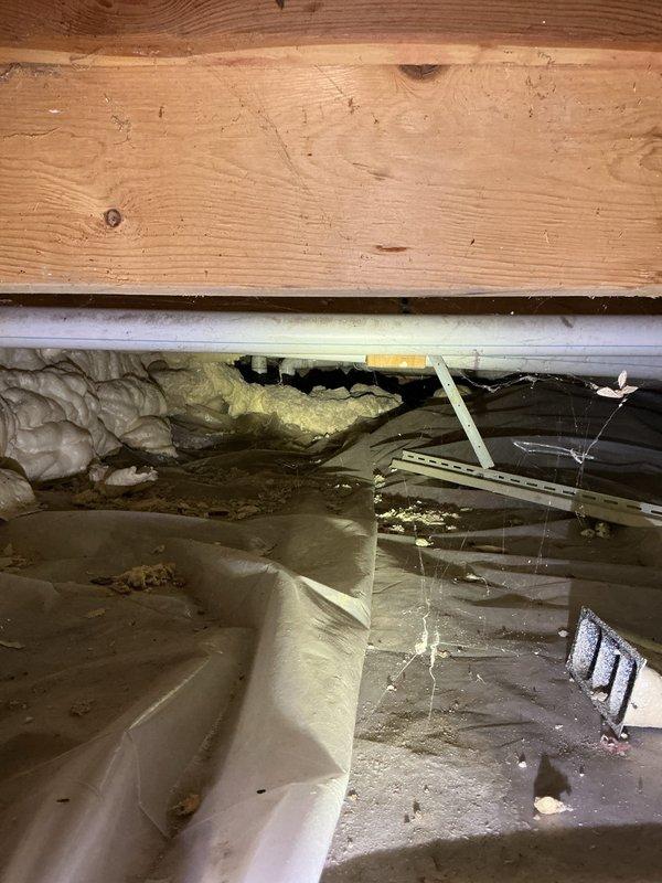 Conducted an on-site estimate for a water conditioning system installation, including inspection of the crawl space to evaluate existing plumbing runs, pipe insulation, and overhead joist clearances. Documented the vapor barrier condition, spray foam insulation, and available access routes to determine proper equipment placement and supply line routing for the proposed system.