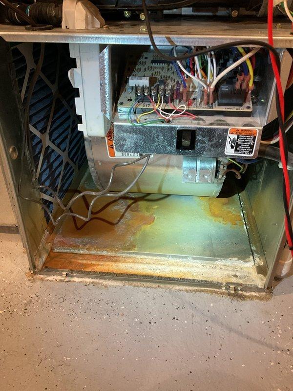 Responded to a no-heat call on a 17-year-old Bryant forced-air furnace and inspected the blower compartment and control board. Found heavy rust and mineral corrosion on the cabinet bottom pan and water-staining on the blower housing interior, indicating prolonged moisture exposure or a leak, along with dirt and residue buildup on the blower wheel and cabinet. Documented findings with photos; repair recommendations were provided on site.