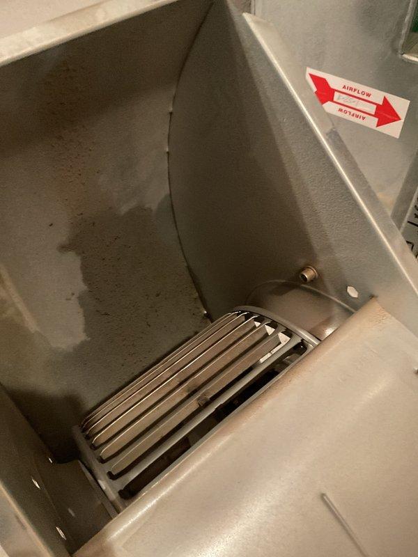 Responded to a no-heat call on a 17-year-old Bryant forced-air furnace and inspected the blower compartment and control board. Found heavy rust and mineral corrosion on the cabinet bottom pan and water-staining on the blower housing interior, indicating prolonged moisture exposure or a leak, along with dirt and residue buildup on the blower wheel and cabinet. Documented findings with photos; repair recommendations were provided on site.