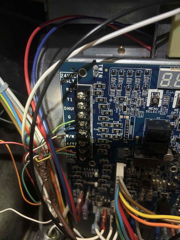 Responded to a no-heat call on a Carrier furnace installed approximately one year ago and inspected the unit's integrated control board and status display. The board's seven-segment LED displayed a fault code, and the low-voltage terminal connections (24VAC, W, Y, G, C, DHUM) and wiring were visually inspected with no evidence of burn marks, corrosion, or damage. Documented the fault code and board condition, and reviewed the unit's data label to verify the age and installation date for the warranty coverage determination.