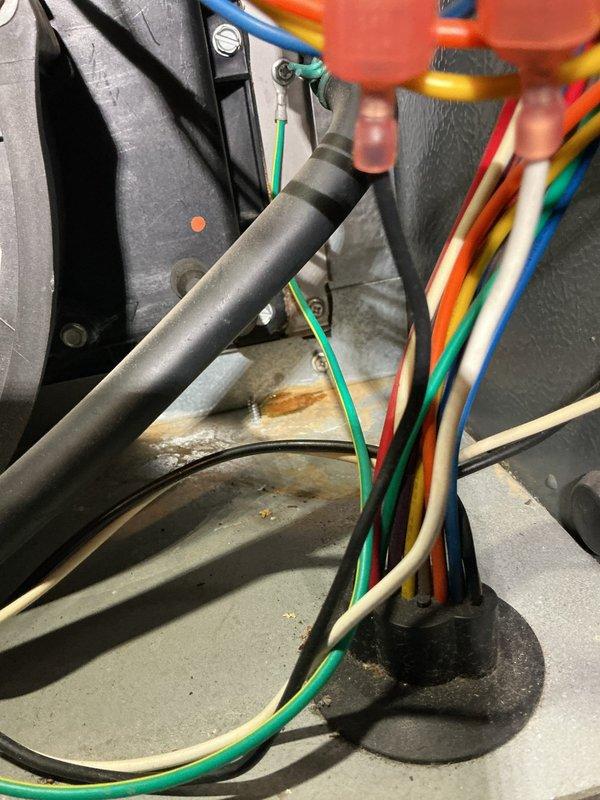 Performed a complete furnace super tune-up on an 18-year-old unit, inspecting the blower compartment, inducer/venting assembly, flame sensor, and low-voltage and line-voltage wiring harnesses. Documented rust staining and debris on the cabinet floor near the wire grommet, along with aged, dusty components and loose wiring, and verified ground connection and wire securement. Unit was cleaned and operation verified; recommended monitoring corrosion and aging components due to the furnace's age.