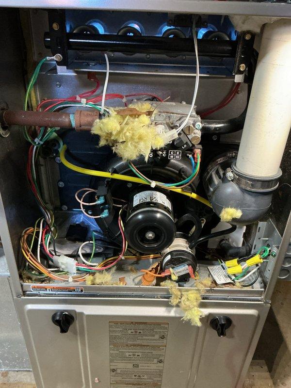 Performed a Super Tune-up on an 11-year-old gas furnace and humidifier, including inspection of the burner assembly, gas valve, inducer motor, pressure switch, vent coupling, and wiring connections. Noted shredded fiberglass insulation and debris scattered throughout the burner compartment and on the gas valve and vent coupling, consistent with rodent nesting, along with light rust staining near the wiring; recommend further evaluation to confirm the source and prevent recurrence. Customer was enrolled in the maintenance club during the visit.