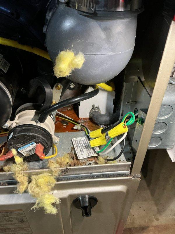 Performed a Super Tune-up on an 11-year-old gas furnace and humidifier, including inspection of the burner assembly, gas valve, inducer motor, pressure switch, vent coupling, and wiring connections. Noted shredded fiberglass insulation and debris scattered throughout the burner compartment and on the gas valve and vent coupling, consistent with rodent nesting, along with light rust staining near the wiring; recommend further evaluation to confirm the source and prevent recurrence. Customer was enrolled in the maintenance club during the visit.