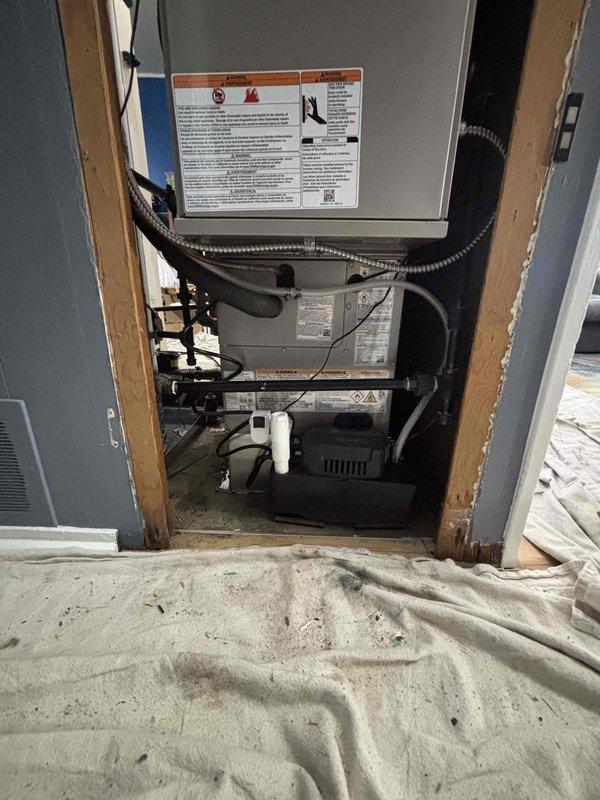 Installed a new Carrier gas furnace in the closet alcove, connecting the flue venting, supply plenum and ductwork, gas and electrical lines, and condensate drain with a condensate pump. Verified all connections, secured the unit, and protected surrounding floors with drop cloths throughout the installation.