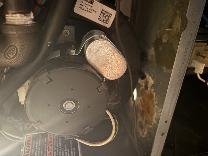 Performed a furnace super tune-up, inspecting the cabinet interior, wiring harness, flame sensor/igniter, and control board connections and finding no wiring damage. Observed corrosion and rust staining on the cabinet wall near the inducer motor, indicating past moisture exposure, along with a heavily textured, corroded-looking run capacitor that should be tested and monitored for replacement. Cleaned accumulated dust and debris from the components and verified system operation.