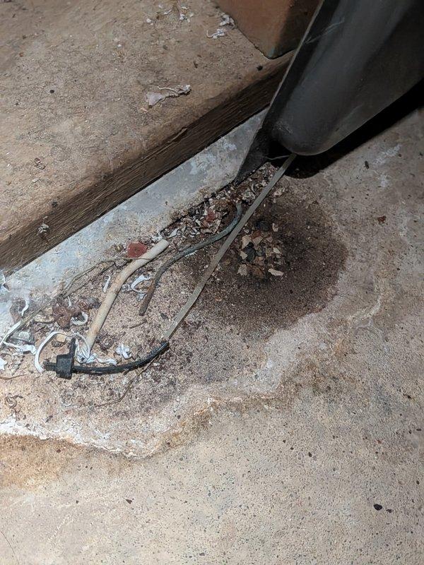 Performed annual heating tune-up on 12-year-old Rheem furnace with humidifier, including inspection of combustion components, humidifier, and condensate drain system. Documented rust staining at the PVC exhaust/drain coupling connection and debris with moisture staining on the concrete floor beneath the equipment, indicating past leakage; recommend monitoring the coupling and surrounding area for further moisture and cleaning the debris from the floor.