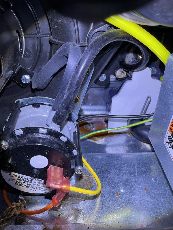 Performed annual heating inspection on Carrier furnace, verifying operation of the pressure switch, inducer draft assembly, and associated hosing and wiring connections. Noted rust and corrosion on the cabinet floor beneath the wiring and components, along with dust and lint accumulation, and recommend monitoring for moisture sources or condensate leakage.