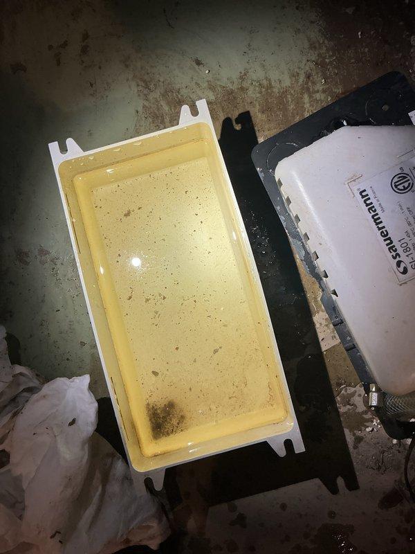 Performed annual heating tune-up on 9-year-old Carrier furnace, including inspection and cleaning of the condensate system. Removed and cleaned the condensate tray, which contained murky water and sediment buildup, and serviced the Sauermann condensate pump. Installed fresh condensate treatment tablets in the tray to inhibit microbial growth, then verified proper drainage and operation.