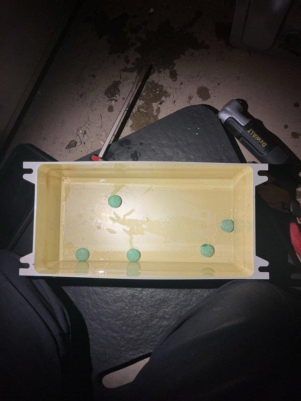 Performed annual heating tune-up on 9-year-old Carrier furnace, including inspection and cleaning of the condensate system. Removed and cleaned the condensate tray, which contained murky water and sediment buildup, and serviced the Sauermann condensate pump. Installed fresh condensate treatment tablets in the tray to inhibit microbial growth, then verified proper drainage and operation.