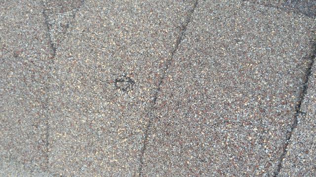 Ankeny, Iowa property owner called for our physical property and roof inspection with our drone technology after a severe hail storm, the drone and on-roof inspection revealed extensive damage. A full replacement quote was submitted and approved for roofing, gutters, siding, and garage door repairs. Work completed, family restored to normal.