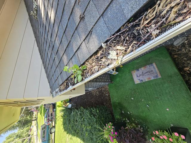 We cleaned the gutters, installed new gutter guards, and replaced rotted soffit. Our team ensured the gutters functioned properly and the soffit was restored to its original condition.
