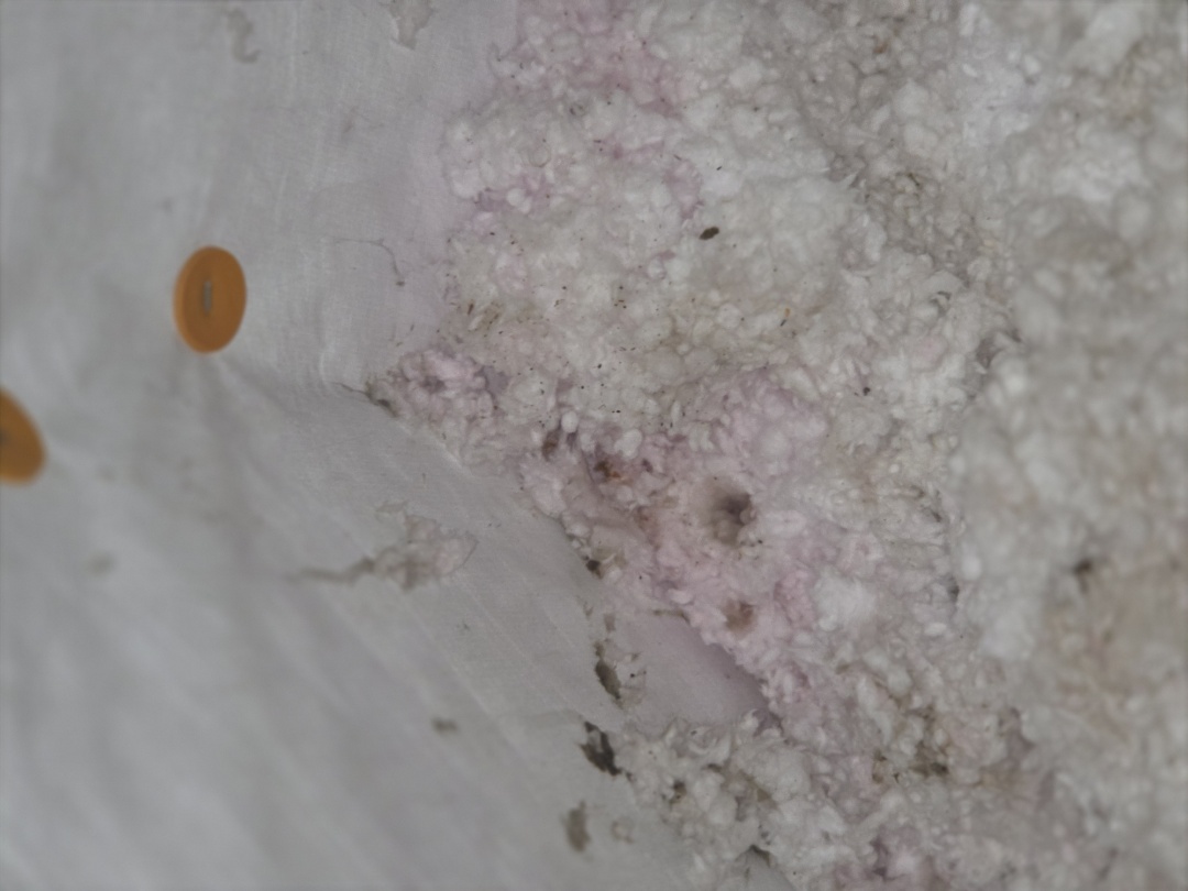 Recently, I conducted a thorough inspection for a family. Upon entering the attic, I identified a water intrusion issue. The dripping was traced to the front area. A detailed inspection revealed that the sidewall flashing had failed, allowing water to seep into the insulation. I removed the affected insulation and addressed the issue. I then performed a comprehensive attic inspection and a rough inspection of the roof. The sidewall flashing failures were located, and it was determined that new fascia and step flashing were needed. Additionally, significant debris from previous contractors was removed. Looking forward to assisting this homeowner with their roofing needs.