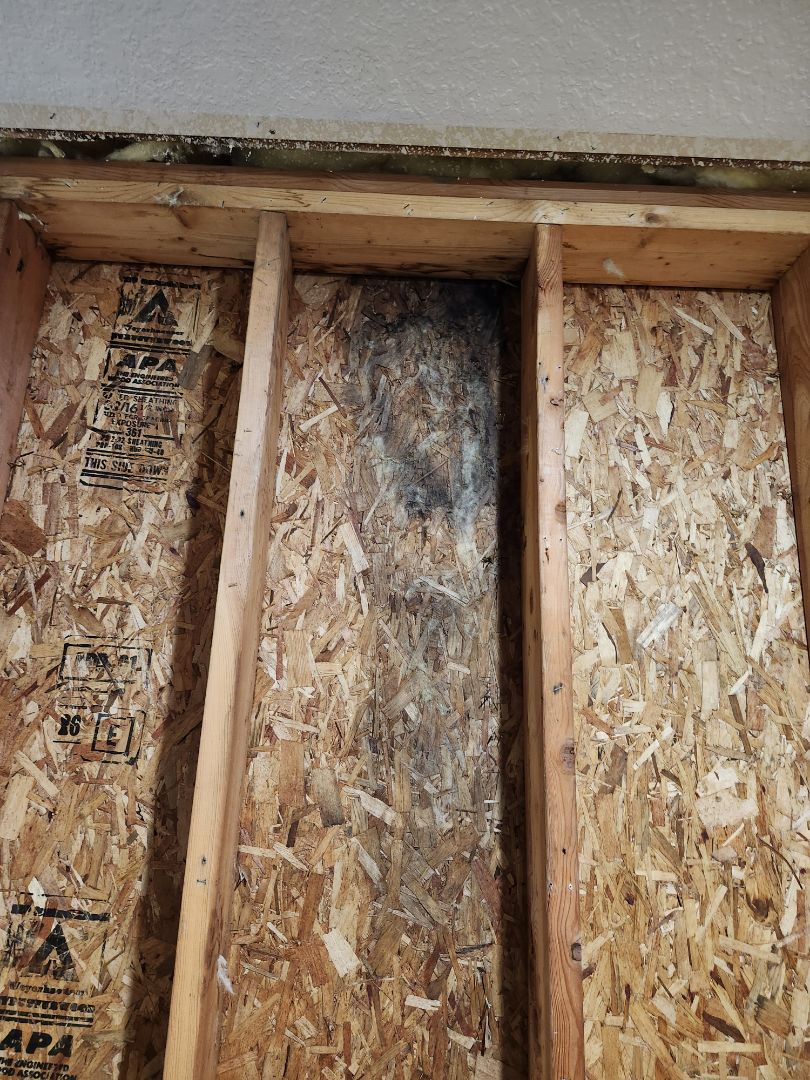 Provided the next year inspection prosiding to a homeowner. In walki, water was identified on the OSB. In the lower basement, we removed 2 pieces of siding on the exterior under both windows on the 1st floor and the 2nd floor water damage was identified to the plywood. The no house wrap was on the home. It is our recommendation that replacing of the siding o s b install a new house wrap, new window tape, new o s b is what is recommended